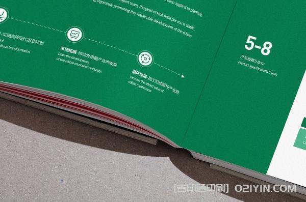 綠色產(chǎn)品手冊印刷  第4張