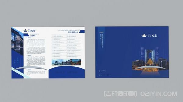 企業(yè)發(fā)展封套設計印刷  第5張