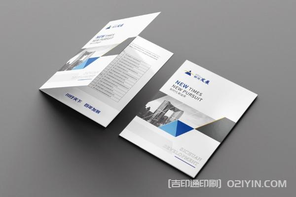 企業(yè)發(fā)展封套設計印刷  第2張