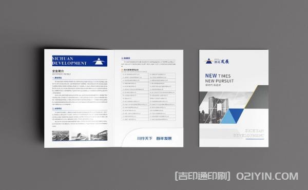 企業(yè)發(fā)展封套設計印刷  第3張