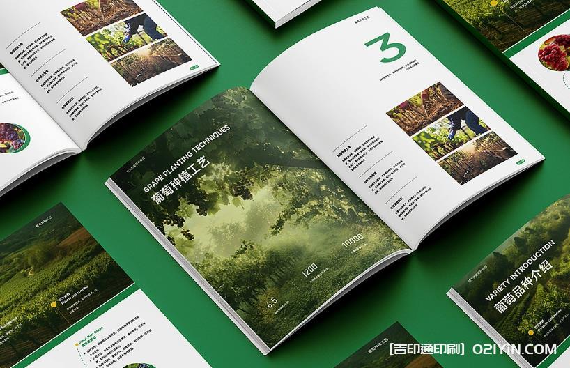 上海產(chǎn)品畫冊(cè)印刷避坑指南：文件規(guī)范、工期把控與質(zhì)量驗(yàn)收要點(diǎn)
